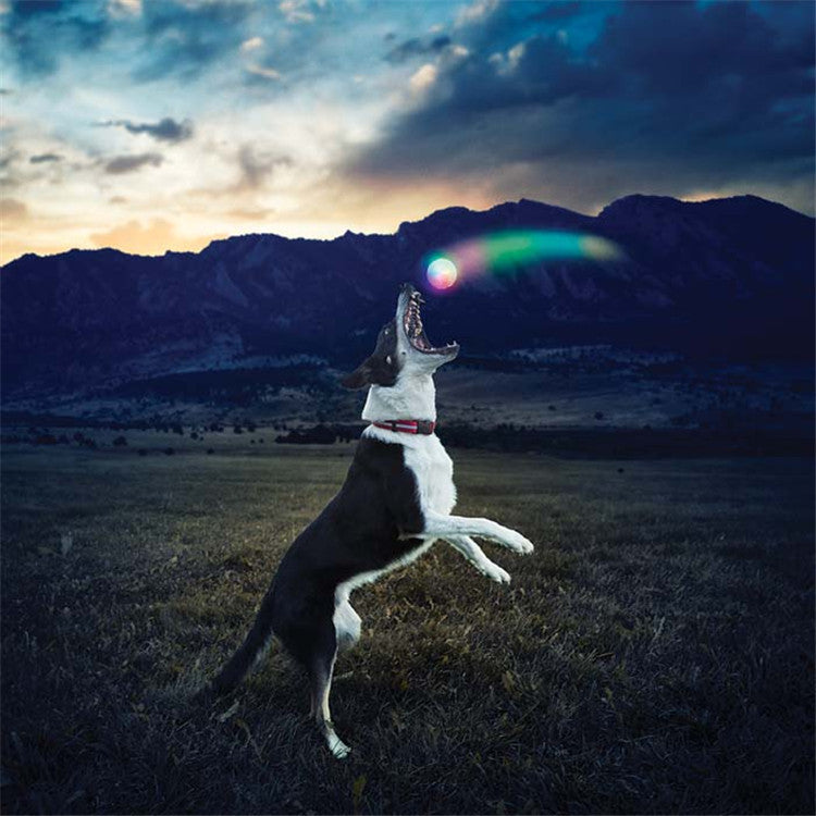 LED Glowing Dog Ball | IPX8 Waterproof, Motion-Activated Light, 3 Sizes & 6 Colors