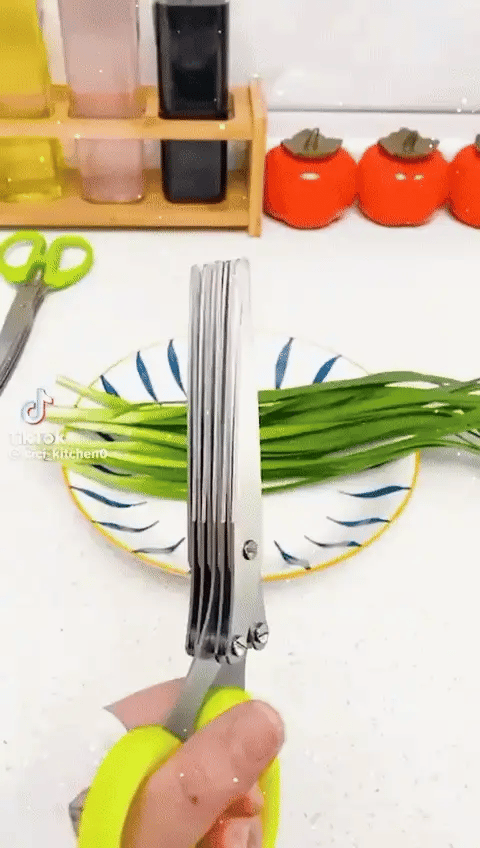 5-Blade Herb Scissors | Stainless Steel Kitchen Herb Cutter with Cleaning Comb
