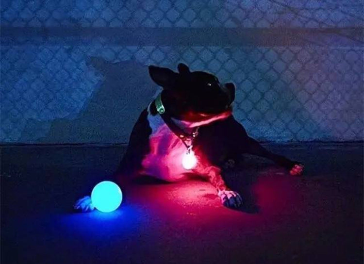 LED Glowing Dog Ball | IPX8 Waterproof, Motion-Activated Light, 3 Sizes & 6 Colors