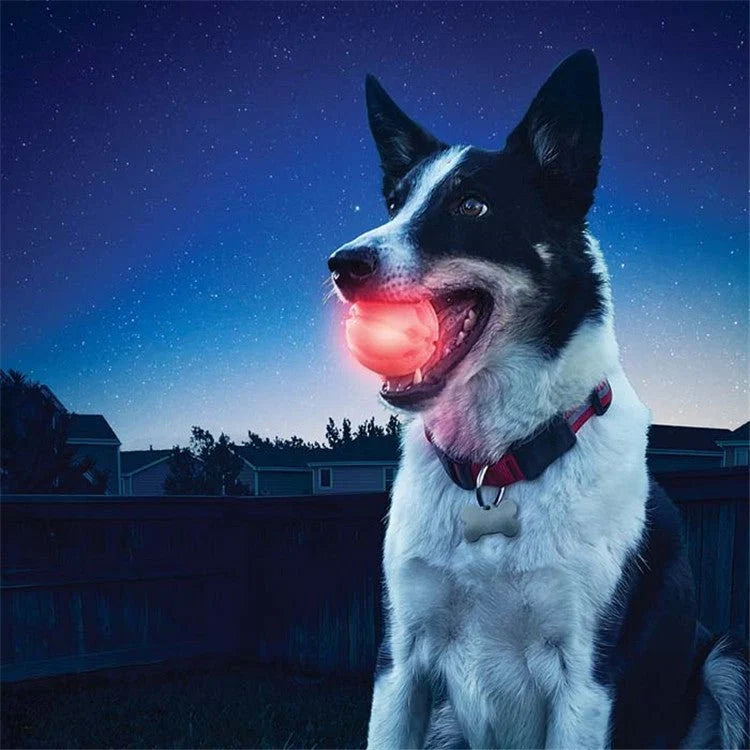 LED Glowing Dog Ball | IPX8 Waterproof, Motion-Activated Light, 3 Sizes & 6 Colors