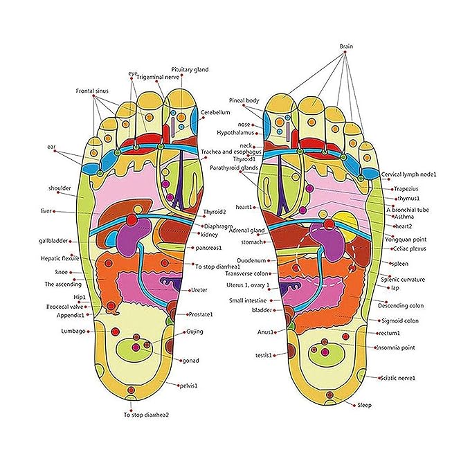 Acupressure Foot Massager Slippers | Magnetic Therapy, Multi-Bead Massage & Wellness Benefits