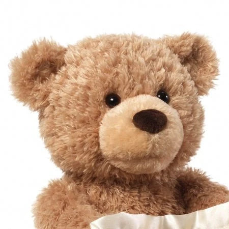 Peekaboo Teddy Bear